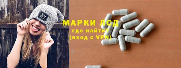 стаф Алексин
