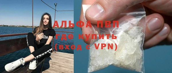 индика Алексеевка