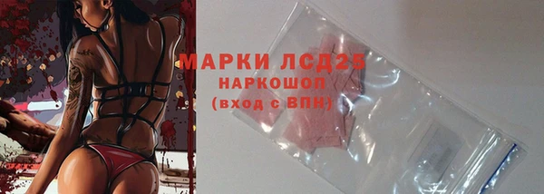 стаф Алексин