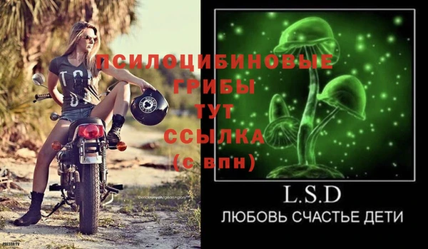 твердый Алзамай
