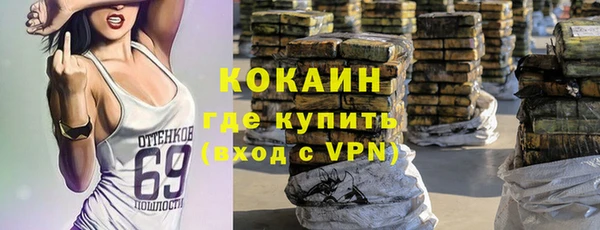 твердый Алзамай