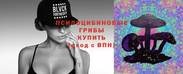 твердый Алзамай