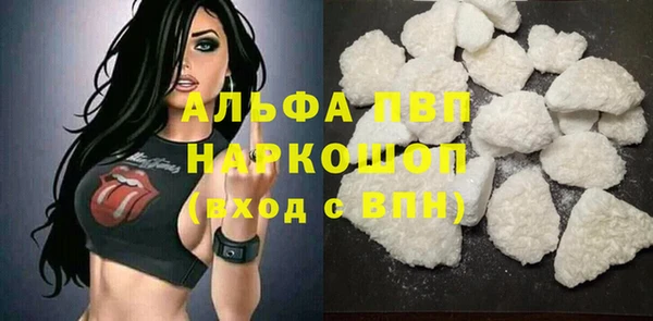 стаф Алексин