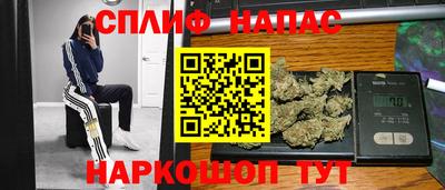 стаф Гусев