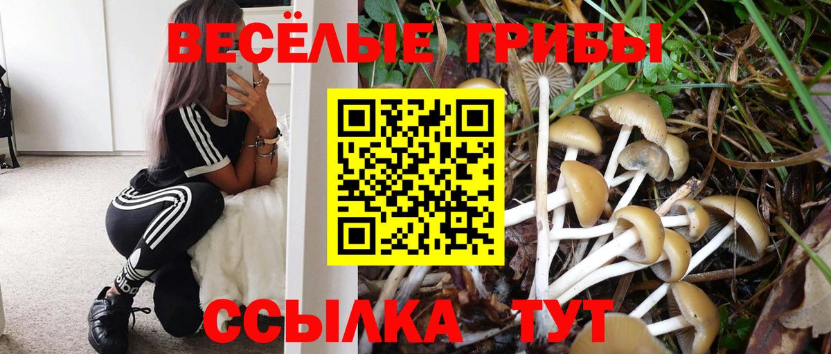 Псилоцибиновые грибы ЛСД  Галлюциногенные грибы Magic Shrooms  Нижний Новгород  Вход с VPN 
