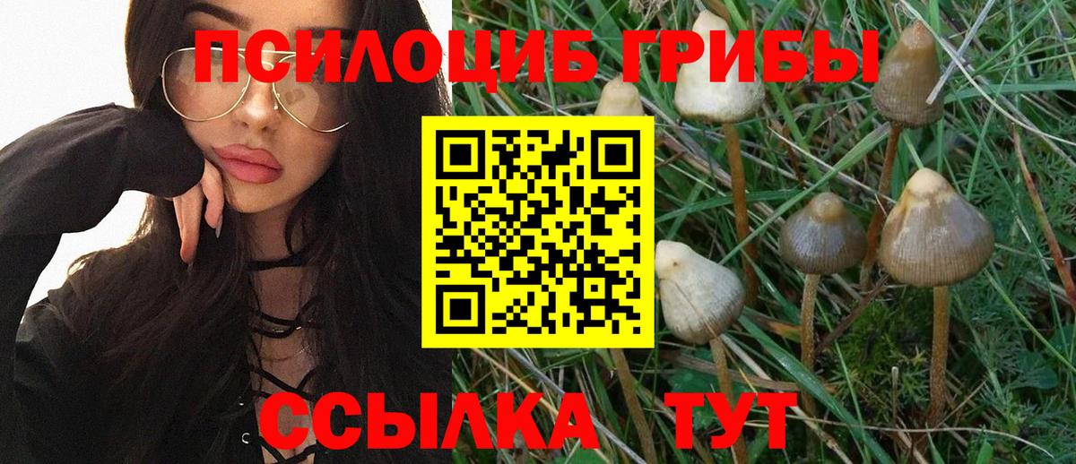 Галлюциногенные грибы Cubensis Нижний Новгород